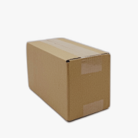 Faltkarton 200 x 100 x 110 mm (1-wellig)